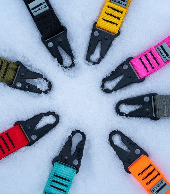 KeyWhip key organizer